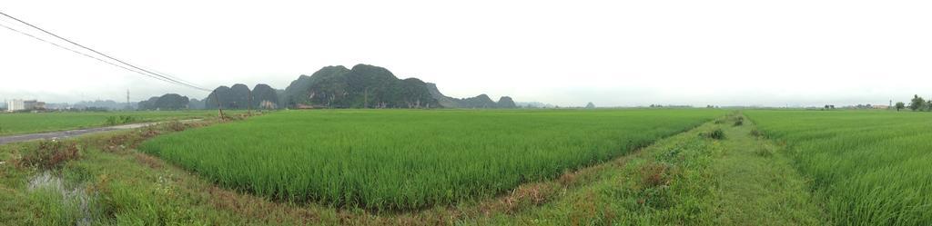 Tam Coc Homestay Ниньбинь Экстерьер фото