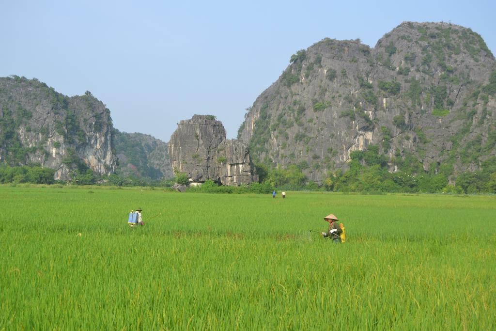 Tam Coc Homestay Ниньбинь Экстерьер фото
