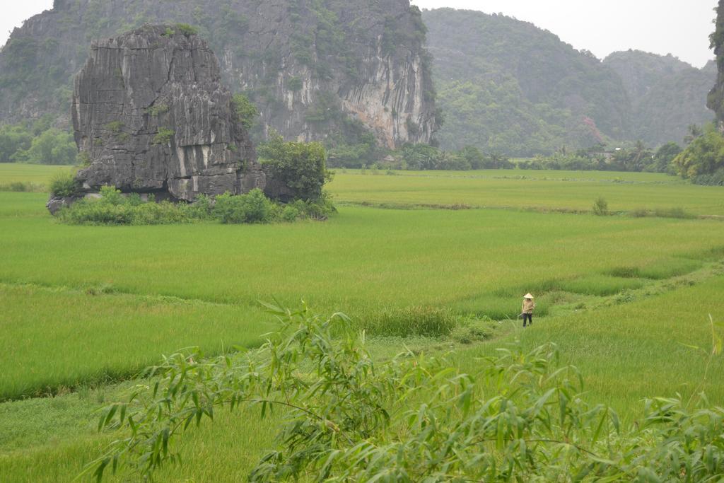Tam Coc Homestay Ниньбинь Экстерьер фото