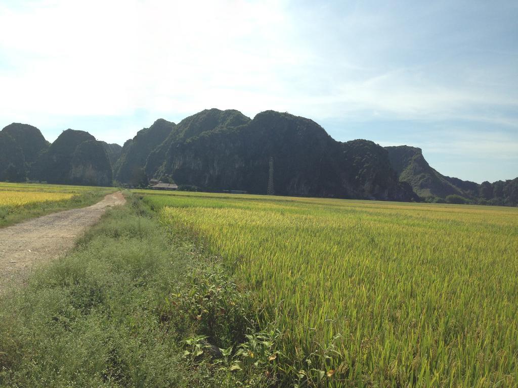Tam Coc Homestay Ниньбинь Экстерьер фото